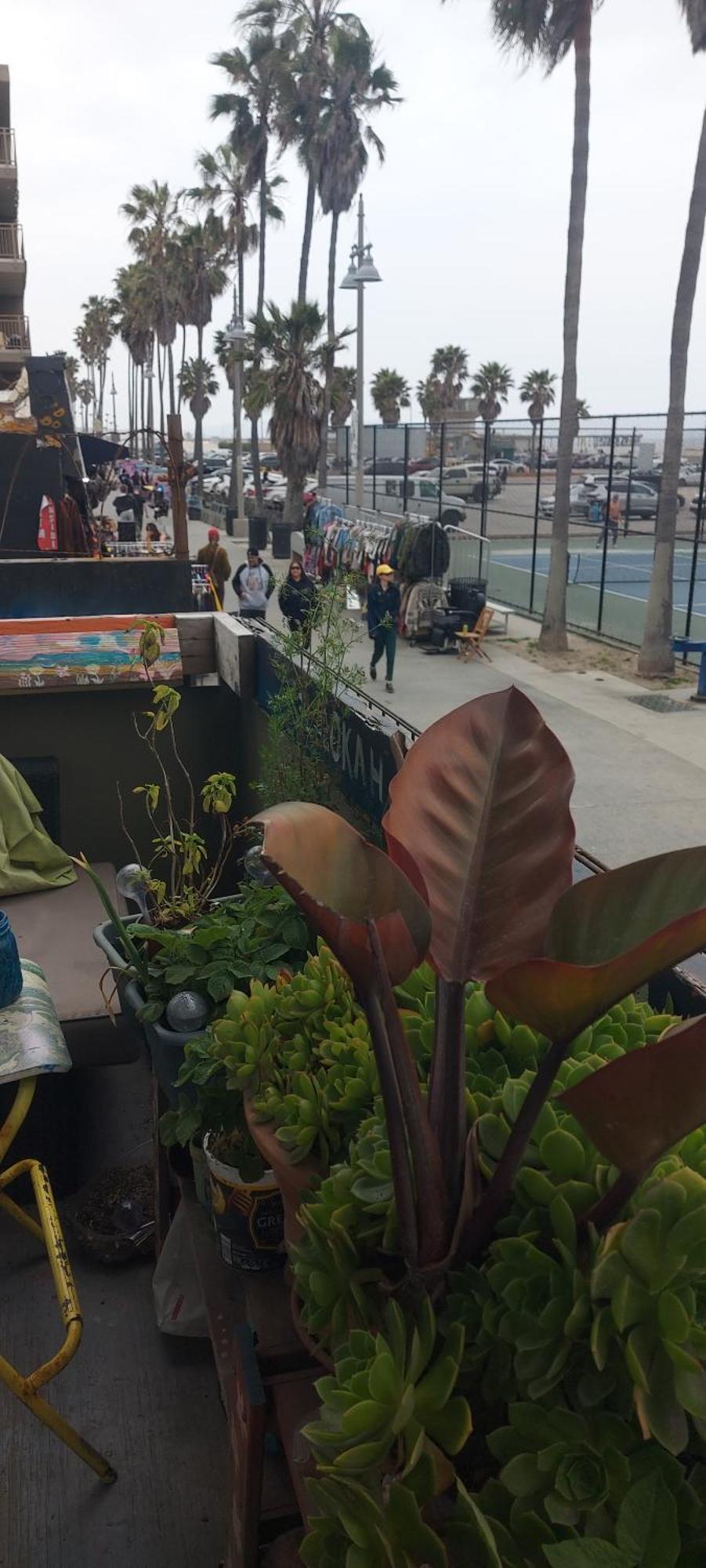 Ocean Front Vortex Female Hostel Private Rooms Free Bikes Λος Άντζελες Εξωτερικό φωτογραφία